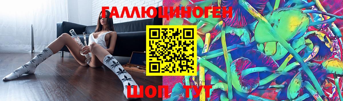 Нижнеудинск  Галлюциногенные грибы Psilocybine cubensis  Вход с VPN 